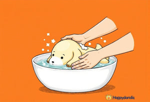 How to wash stuffed animals without ruining them