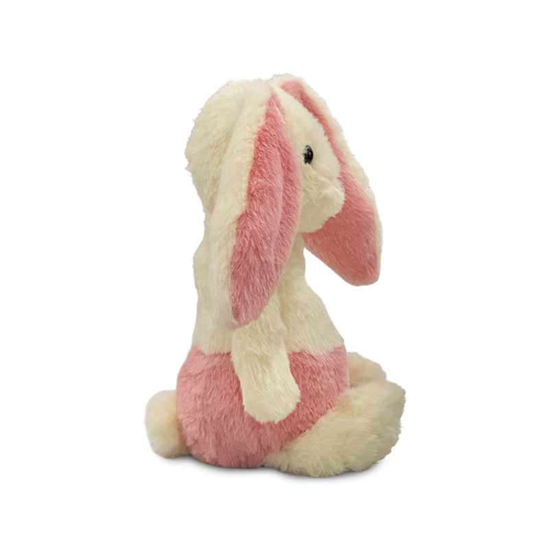 Willow the Bunny