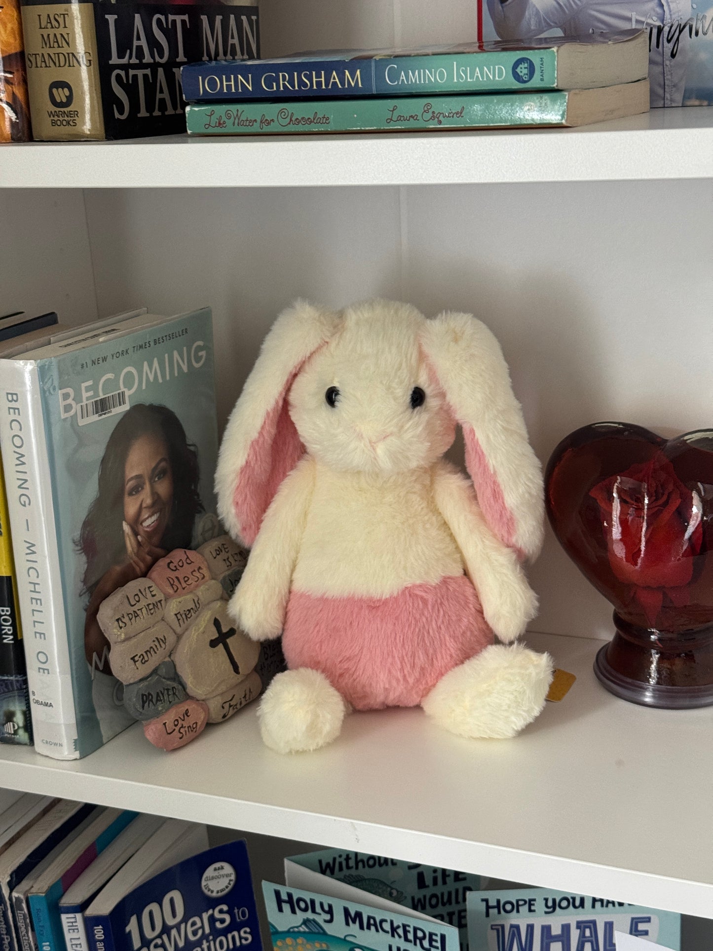 Willow the Bunny