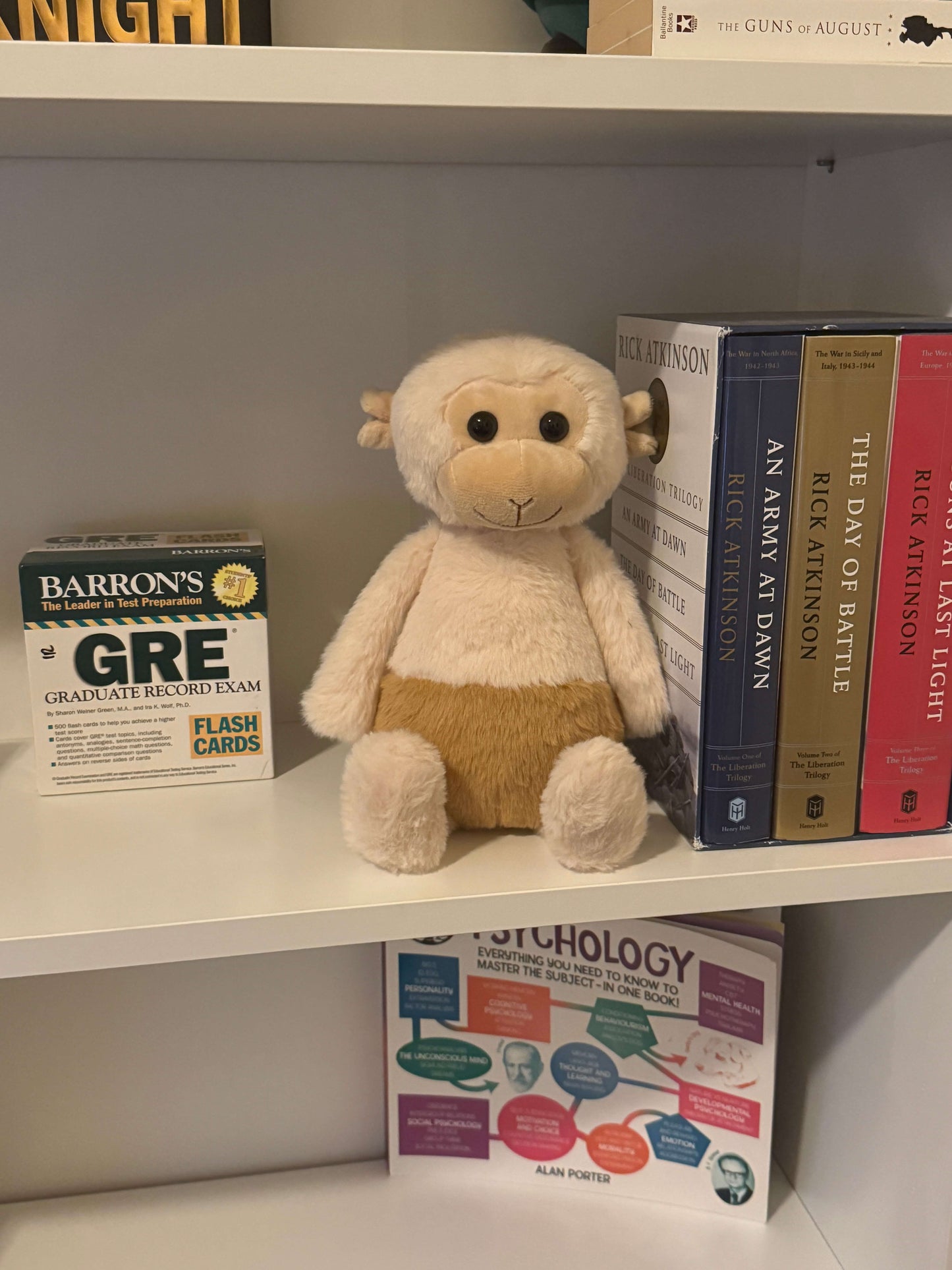 Zippy the Monkey