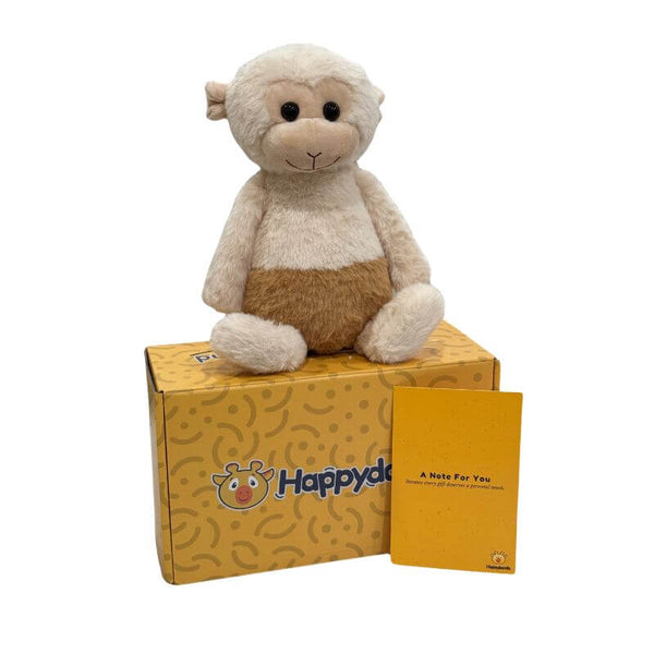 Zippy the Monkey plush sitting on a Happydandis gift box with a handwritten keepsake card